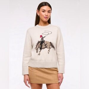 Abercrombie & Fitch Madeline Western Crew Sweater  – M - Sold Out – NWT